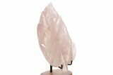 Beautiful, Polished Rose Quartz Leaf with Stand - Madagascar #335215-2